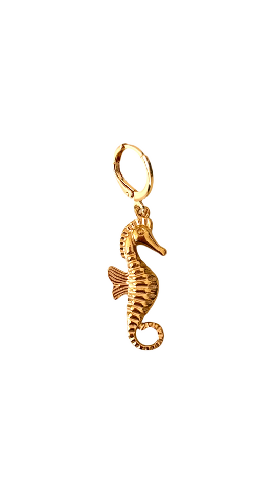 Sea Horse