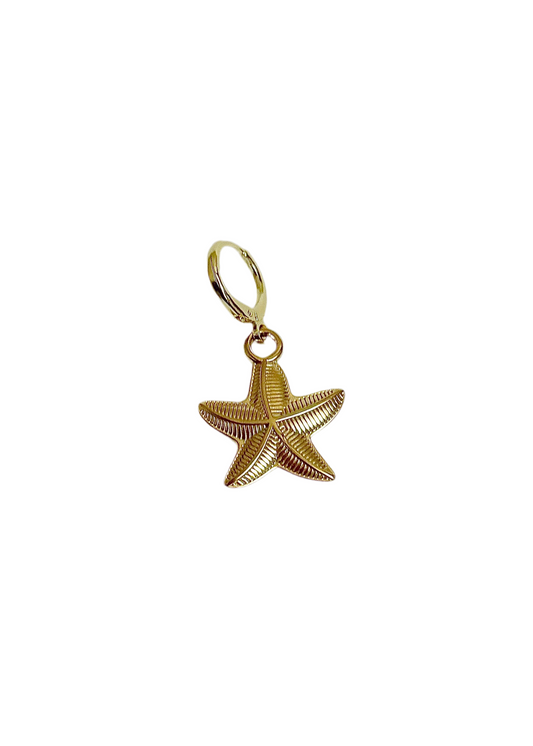 Star fish